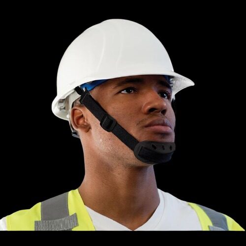 Chinstrap